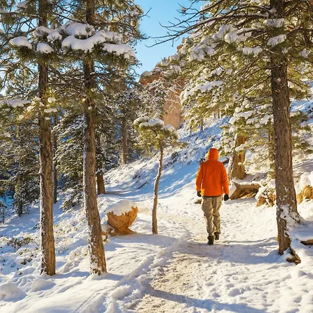 T3 Avec Vue Montagne Et Parking Privatif * Font-Romeu-Odeillo-Via