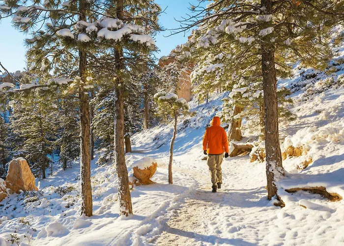 T3 Avec Vue Montagne Et Parking Privatif * Font-Romeu-Odeillo-Via